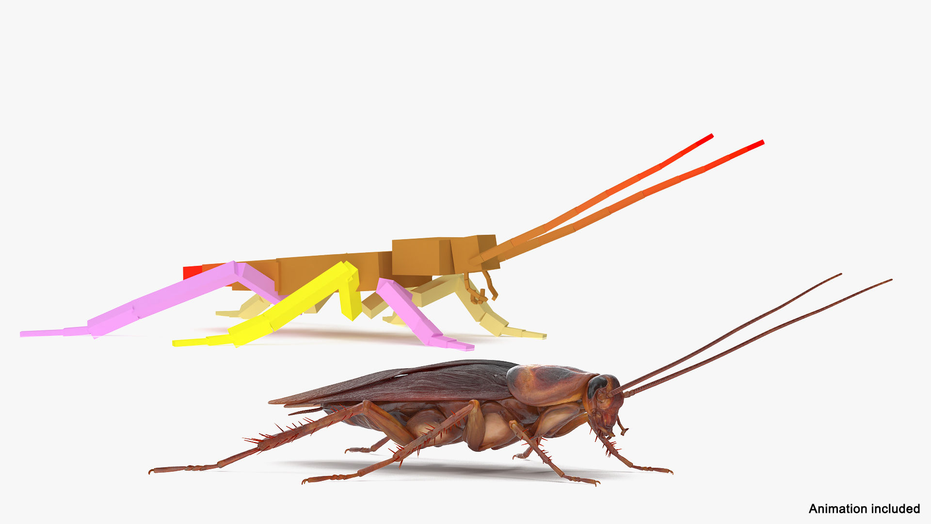 ae0b79d4c074ba1387acdb2b9ddd362d.jpg